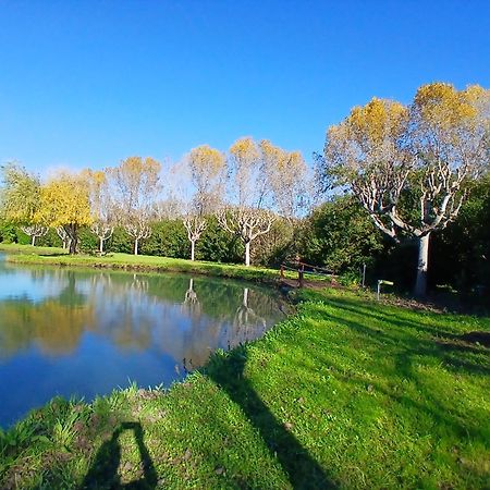 Domaine Du Lac De La Vallee La Roquette-sur-Siagne Exterior foto