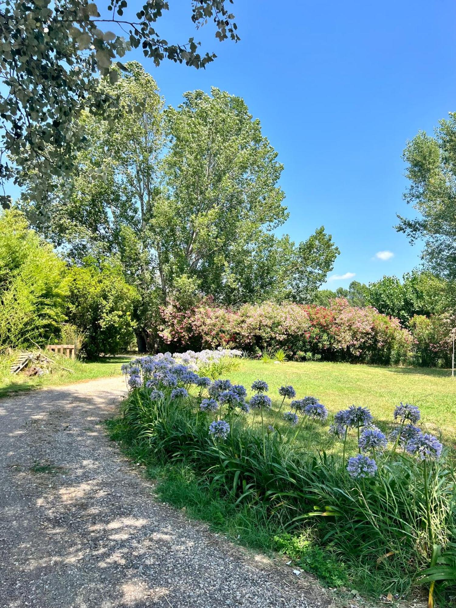 Domaine Du Lac De La Vallee La Roquette-sur-Siagne Exterior foto